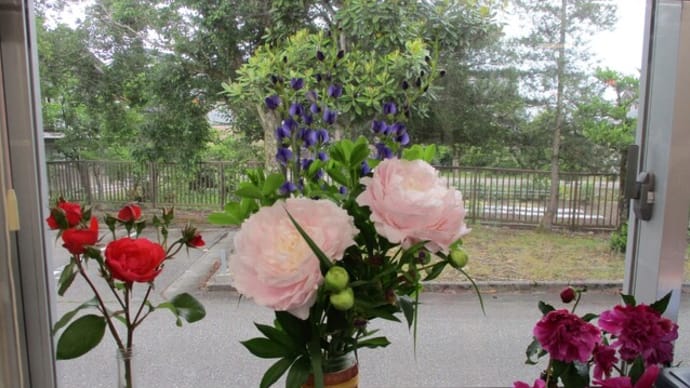 季節のお花をいただきました。