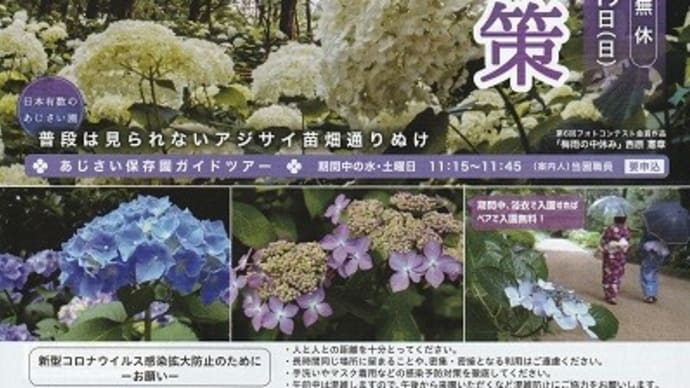 森の中のあじさい散策・・・4