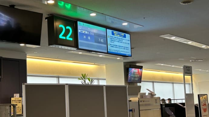 孫達に会いに行ってきます➰✈️