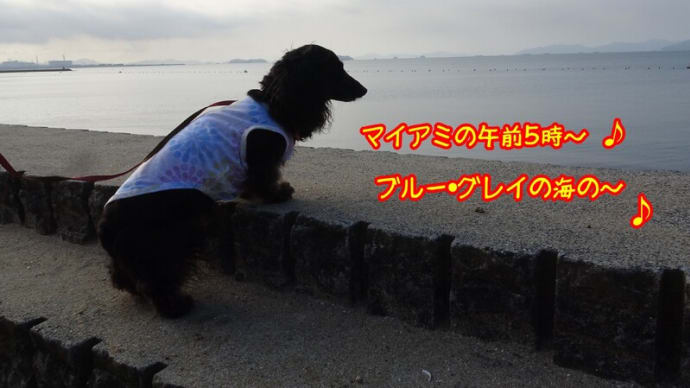 浜辺で歌ってみた