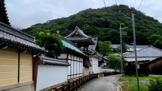 雨のたつの界隈を散策しました。