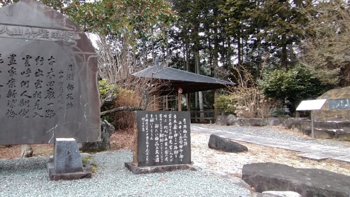 月ヶ瀬へ「探梅」ドライブ、今年はどうだっ?
