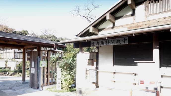 本土寺の紅葉