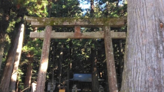 龍神様に激怒(げきおこ)されたかのような夢をみて反省する