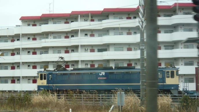 EF65-2083 大型コンテナ牽引(4072レ)(2) 【尻手駅:南武支線】 2023.2.14