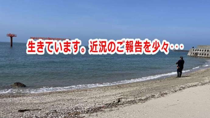 生きています。近況のご報告を少々・・・