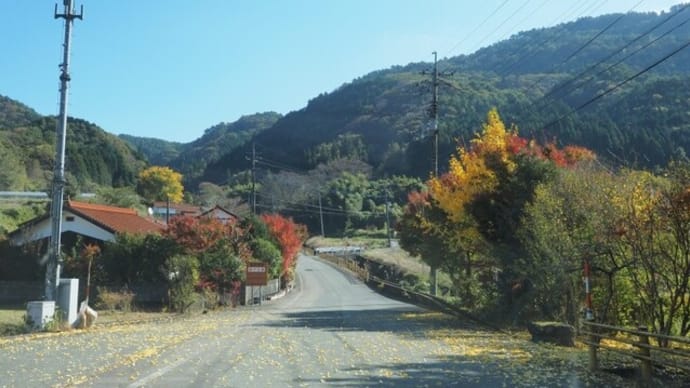 十種ヶ峰でプチ登山運用