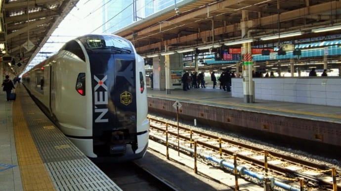 2019 続・冬の南伊豆ぶらり紀行①【引退間近?251系「スーパービュー踊り子7号」乗車】