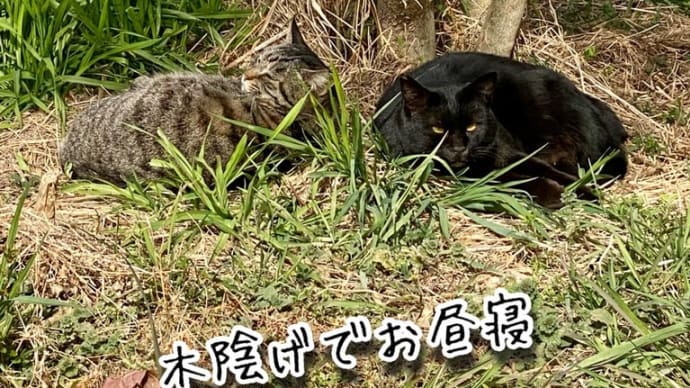 AIの進化はすごい