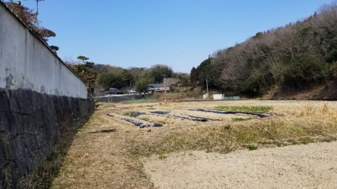 父の運転免許返納