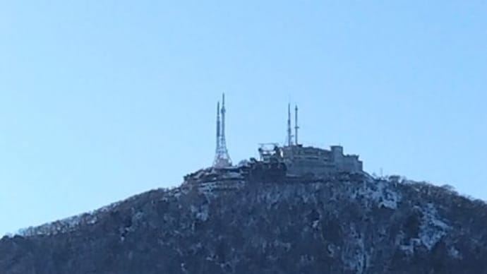 春のようです