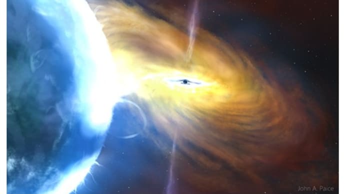 X線の偏光から明らかになってきたブラックホール近傍のコロナの位置と形状