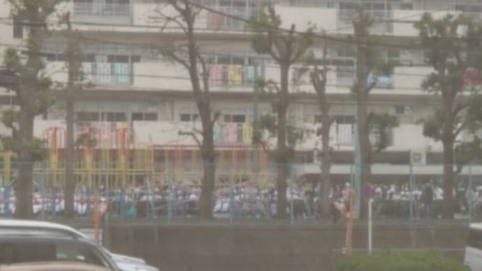 今日のスポーツと明日の横浜