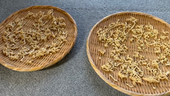 切り干し大根　追加