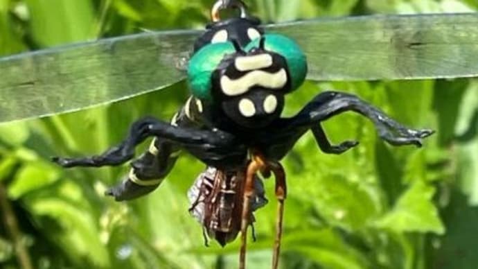 鬼っ面に蜂。