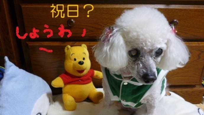 今日は昭和の日…(^▽^)/ 今日はお天気回復…藤の花…