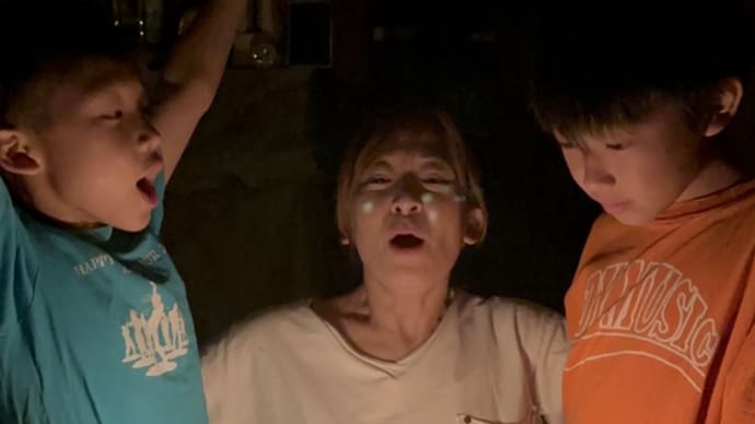 真夏日に 脚立5本を 駆使しては