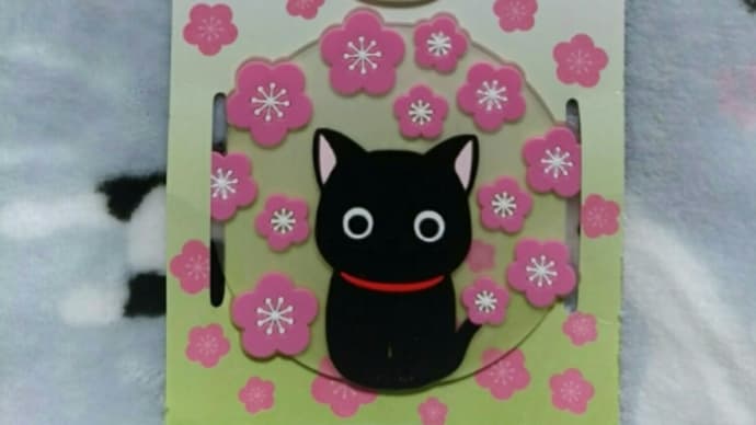 猫兄妹みたいな