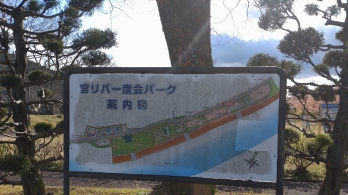 宮リバー度会パーク→笠松河津桜ロード
