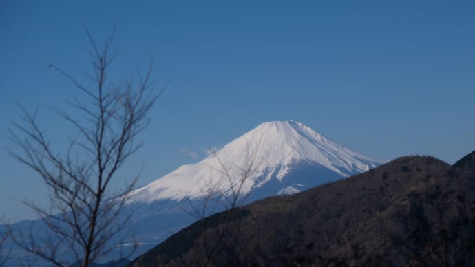 大山登山道からの富士山遠望