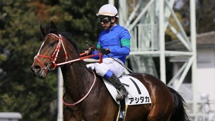 【アシタカ】残念ですが… 競走馬登録抹消、引退へ