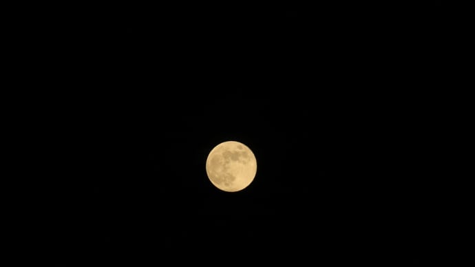今夜はストロベリームーン