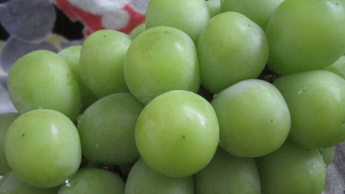 🍇シャインマスカット🍇