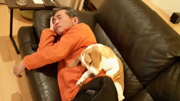 Happy retirement!! とばかりは喜べなっかった。