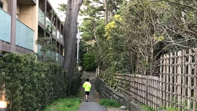 日曜ハーフ走、長男の後ろ姿を見送ってから、