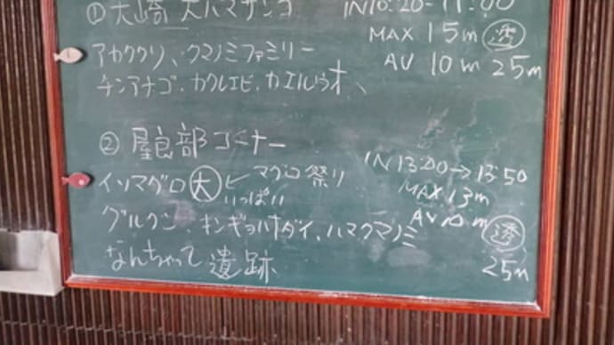 本日のダイビングログ