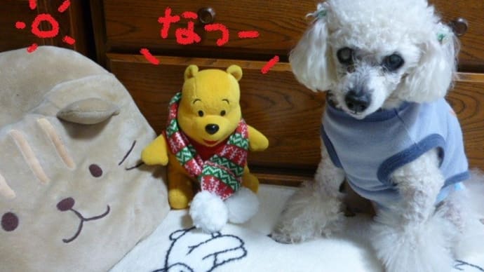 今日も夏日の東京…春の熱中症に注意 (-＿-)ｳｰﾑ　そして台風と前線にも注意