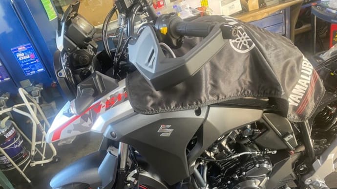 Vストローム250