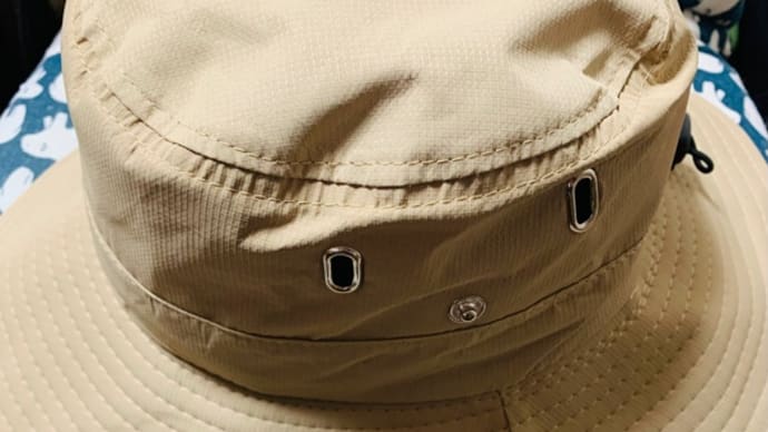 帽子のようなヘルメット(LUUP用)