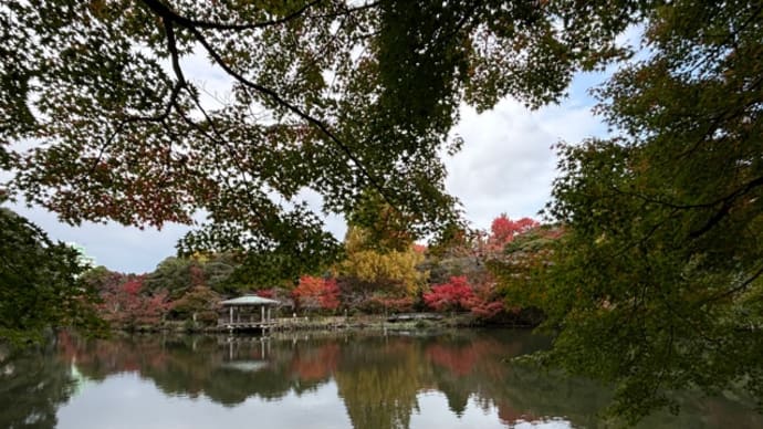 市内の公園の〝紅葉〟だが