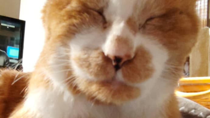 いな爺22歳までカウントダウン入りました!!