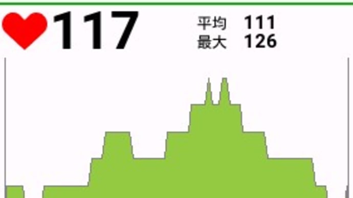 天気が悪く外を走れないので固定ローラで運動