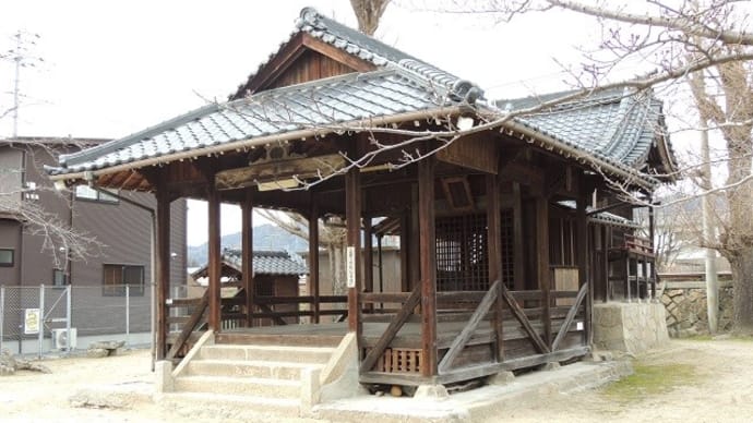 福佐売神社の切株が　‼