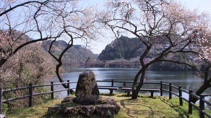 月ヶ瀬梅林へ
