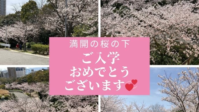 満開の桜の下 ご入学おめでとうございます ٩(๑>∀<๑)۶🎉