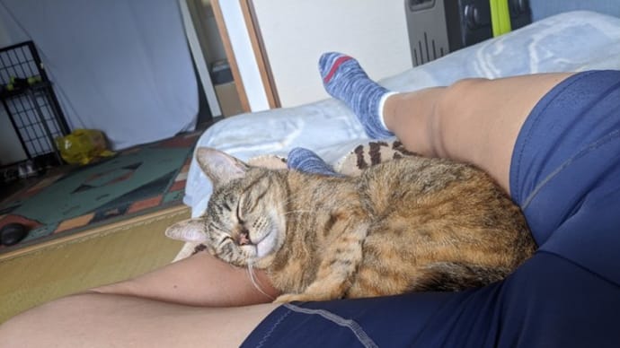 ハッシュタグ ニートと引きこもりの違い Goo Blog Gooブログ