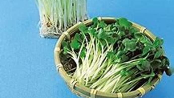 小泉進次郎氏と西村大臣が福島県で「常磐もの」水産物PR!進次郎氏はサーフィンで応援!西村大臣は経済対策で応援!みんなで出来る事から応援しよう!( `ー´)ノ
