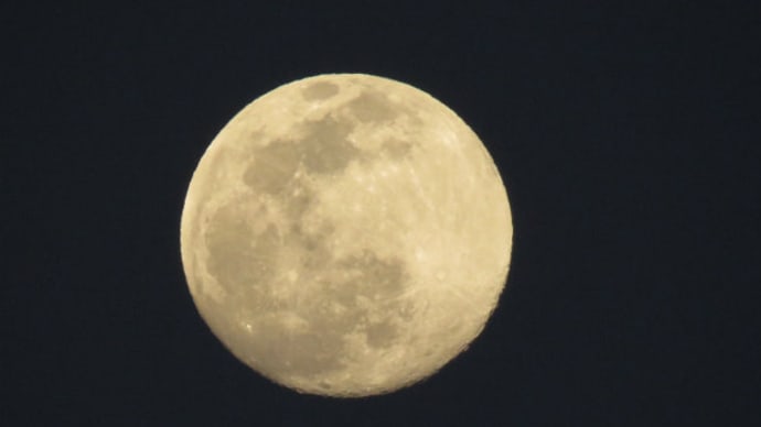 旧暦1月15日 ほゞ満月