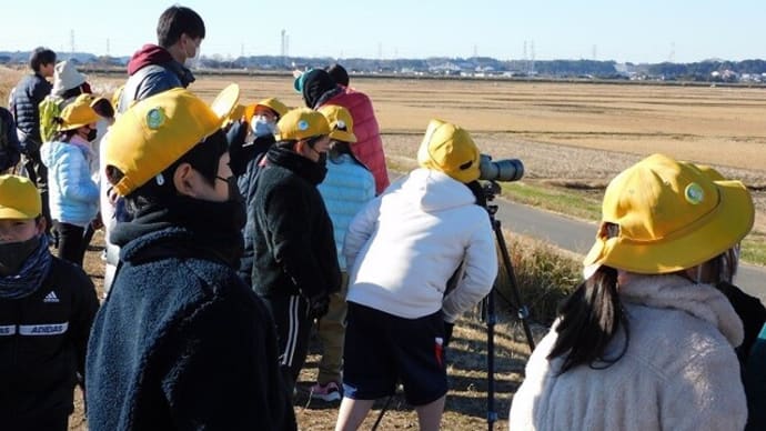 小学生の野鳥観察会