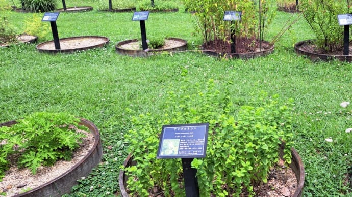 心地よい香りが楽しめるハーブ園・・・森の植物園
