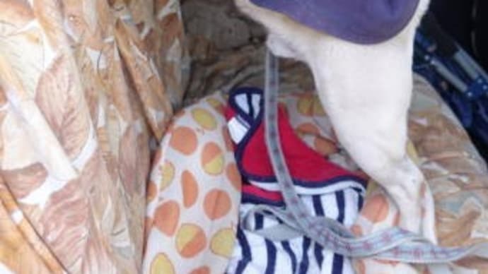群馬西部から埼玉県内をいくつか巡って帰路に