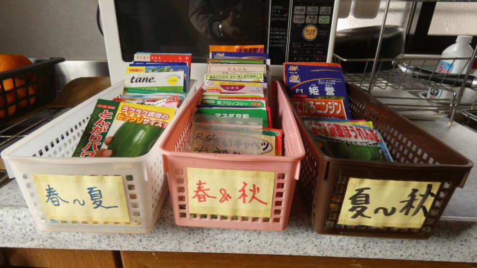 菜園用播種第一弾