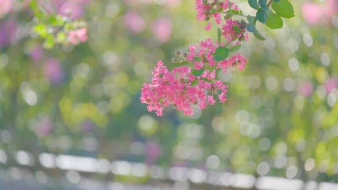 今日は暑かった