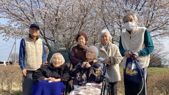 🌸🌸🌸お花見🌸🌸🌸