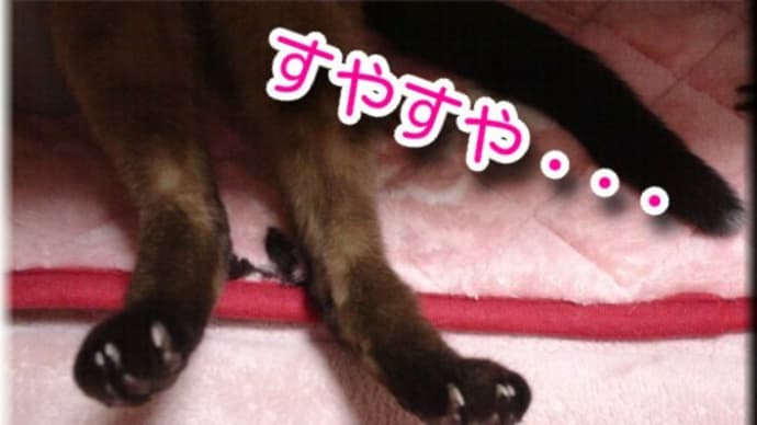 パン工房OPEN~その4