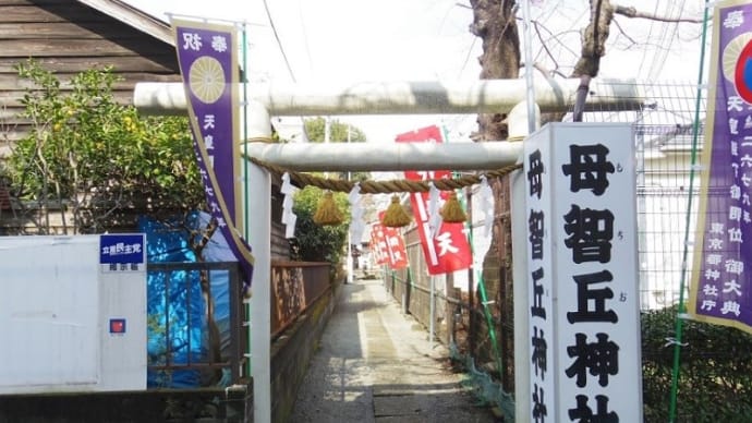 伊勢神宮を模して造られた「母智丘神社」